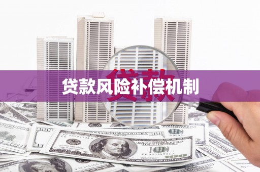 习水贷款风险补偿机制