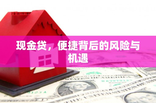 习水现金贷，便捷背后的风险与机遇