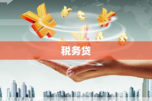 习水税务贷