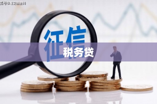 习水税务贷