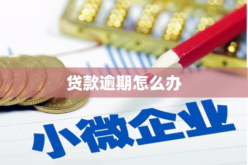 习水贷款逾期怎么办