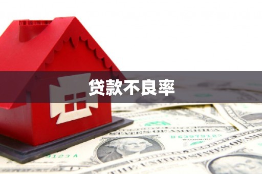 习水贷款不良率