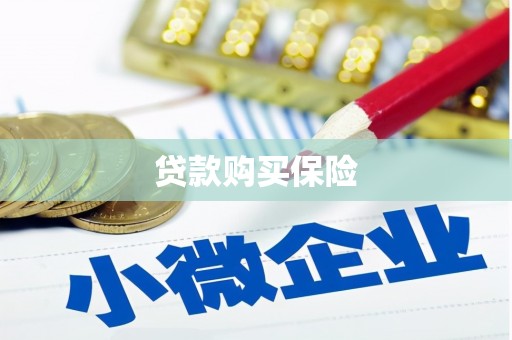 习水贷款购买保险