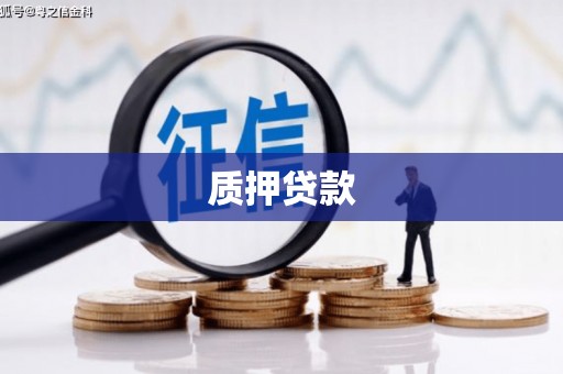 习水质押贷款