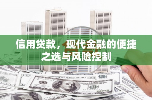 习水信用贷款，现代金融的便捷之选与风险控制