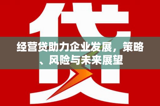 习水经营贷助力企业发展，策略、风险与未来展望