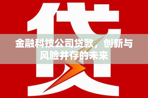 习水金融科技公司贷款，创新与风险并存的未来