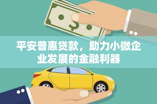 习水平安普惠贷款，助力小微企业发展的金融利器