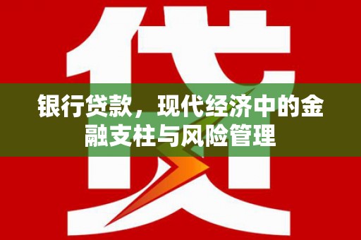 习水银行贷款，现代经济中的金融支柱与风险管理