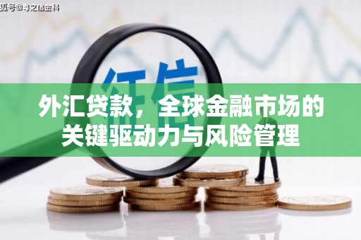 习水外汇贷款，全球金融市场的关键驱动力与风险管理