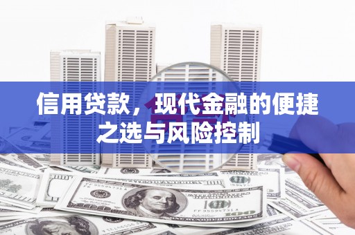 习水信用贷款，现代金融的便捷之选与风险控制