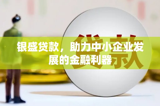 习水银盛贷款，助力中小企业发展的金融利器