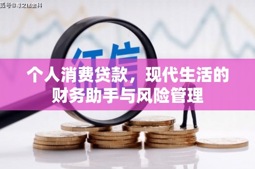 习水个人消费贷款，现代生活的财务助手与风险管理