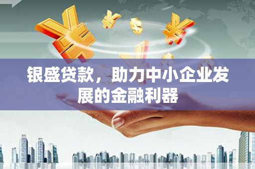 习水银盛贷款，助力中小企业发展的金融利器