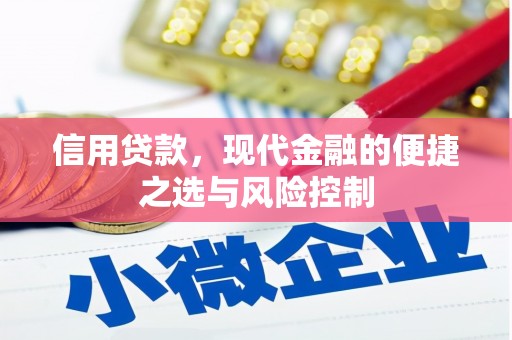 习水信用贷款，现代金融的便捷之选与风险控制