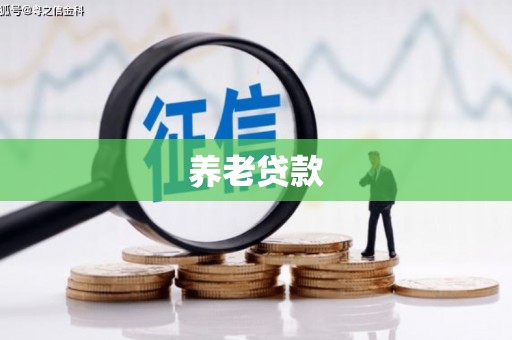 习水养老贷款