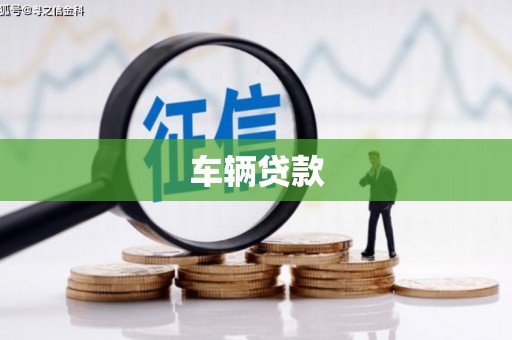 习水车辆贷款
