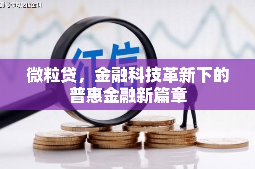 习水微粒贷，金融科技革新下的普惠金融新篇章