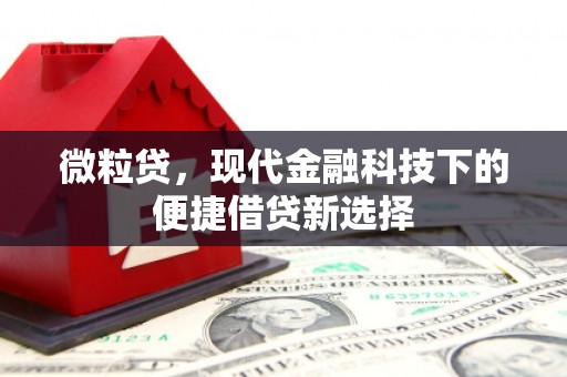 习水微粒贷，现代金融科技下的便捷借贷新选择