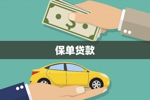 习水保单贷款