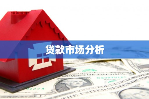 习水贷款市场分析