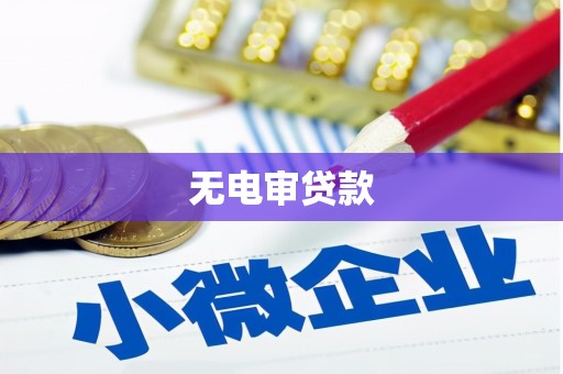 习水无电审贷款