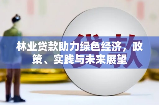 习水林业贷款助力绿色经济，政策、实践与未来展望