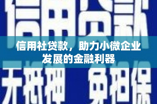 习水信用社贷款，助力小微企业发展的金融利器
