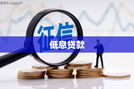 习水低息贷款