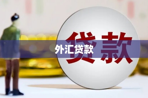习水外汇贷款