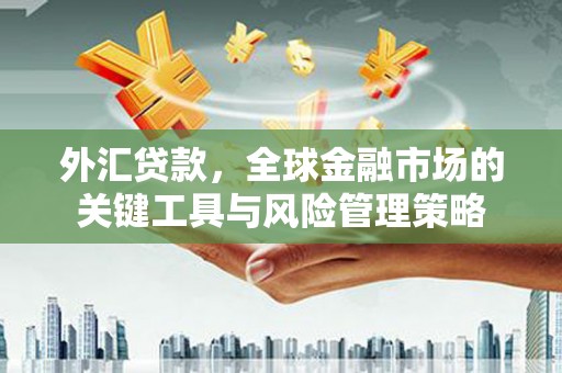 习水外汇贷款，全球金融市场的关键工具与风险管理策略