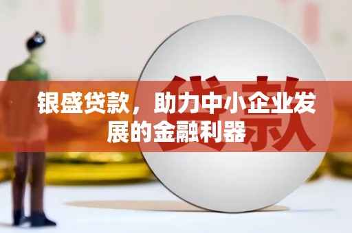习水银盛贷款，助力中小企业发展的金融利器