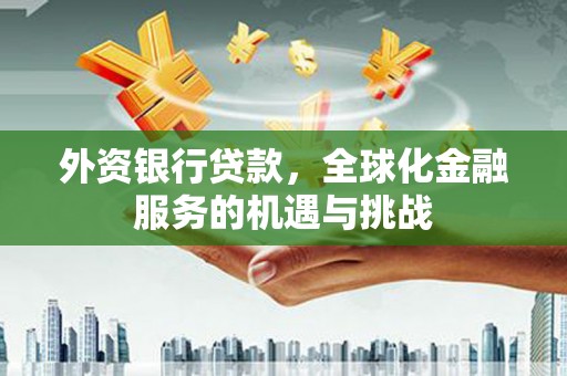 习水外资银行贷款，全球化金融服务的机遇与挑战