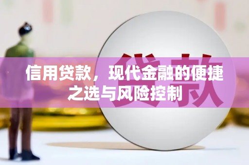 习水信用贷款，现代金融的便捷之选与风险控制