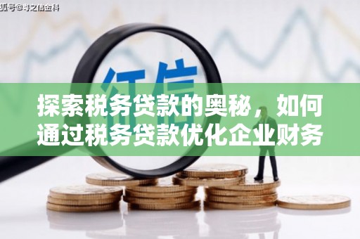 习水探索税务贷款的奥秘，如何通过税务贷款优化企业财务