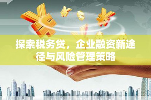 习水探索税务贷，企业融资新途径与风险管理策略