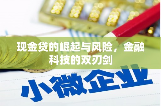 习水现金贷的崛起与风险，金融科技的双刃剑