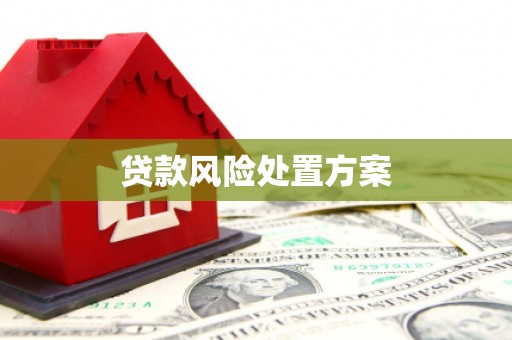 习水贷款风险处置方案