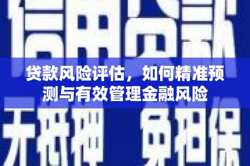 习水贷款风险评估，如何精准预测与有效管理金融风险