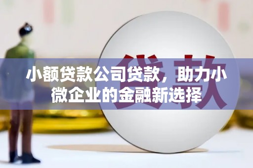 习水小额贷款公司贷款，助力小微企业的金融新选择