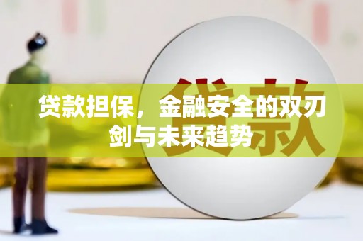 习水贷款担保，金融安全的双刃剑与未来趋势