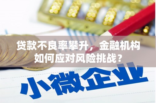 习水贷款不良率攀升，金融机构如何应对风险挑战？