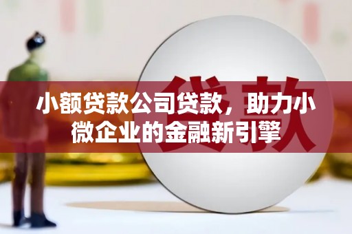 习水小额贷款公司贷款，助力小微企业的金融新引擎