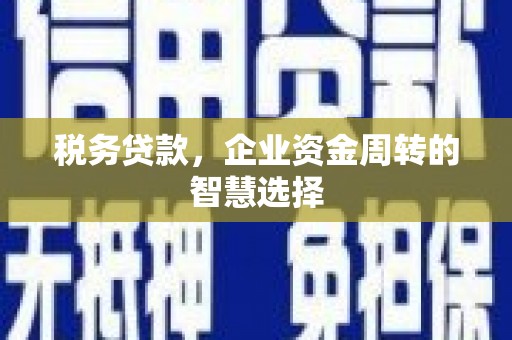习水税务贷款，企业资金周转的智慧选择