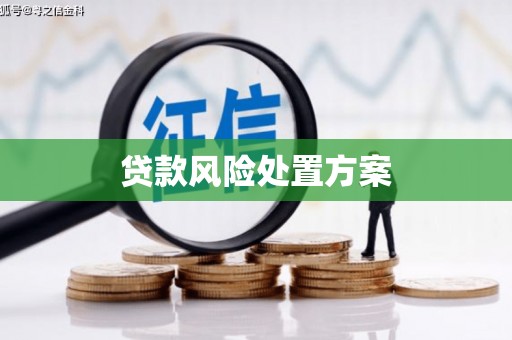 习水贷款风险处置方案