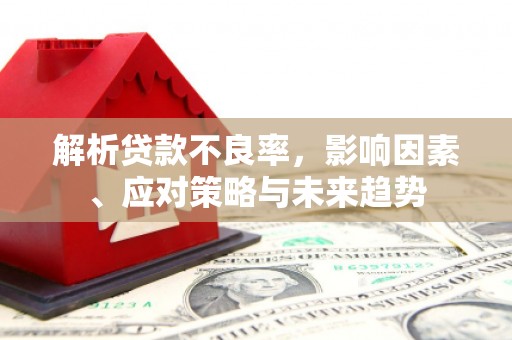 习水解析贷款不良率，影响因素、应对策略与未来趋势