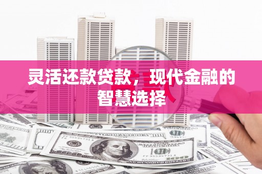 习水灵活还款贷款，现代金融的智慧选择