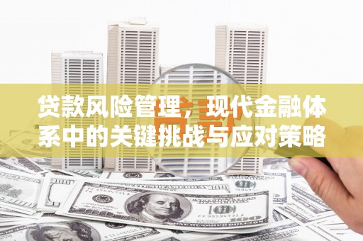 习水贷款风险管理，现代金融体系中的关键挑战与应对策略