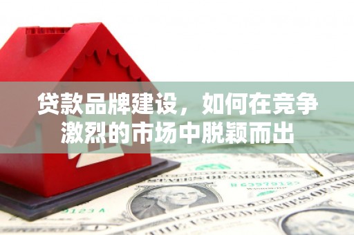 习水贷款品牌建设，如何在竞争激烈的市场中脱颖而出