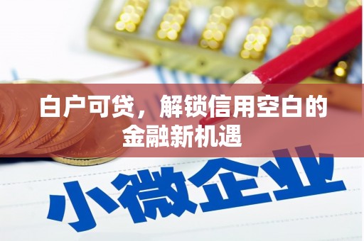 习水白户可贷，解锁信用空白的金融新机遇